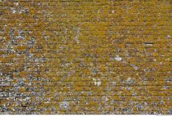 Photo of Mixed Textures